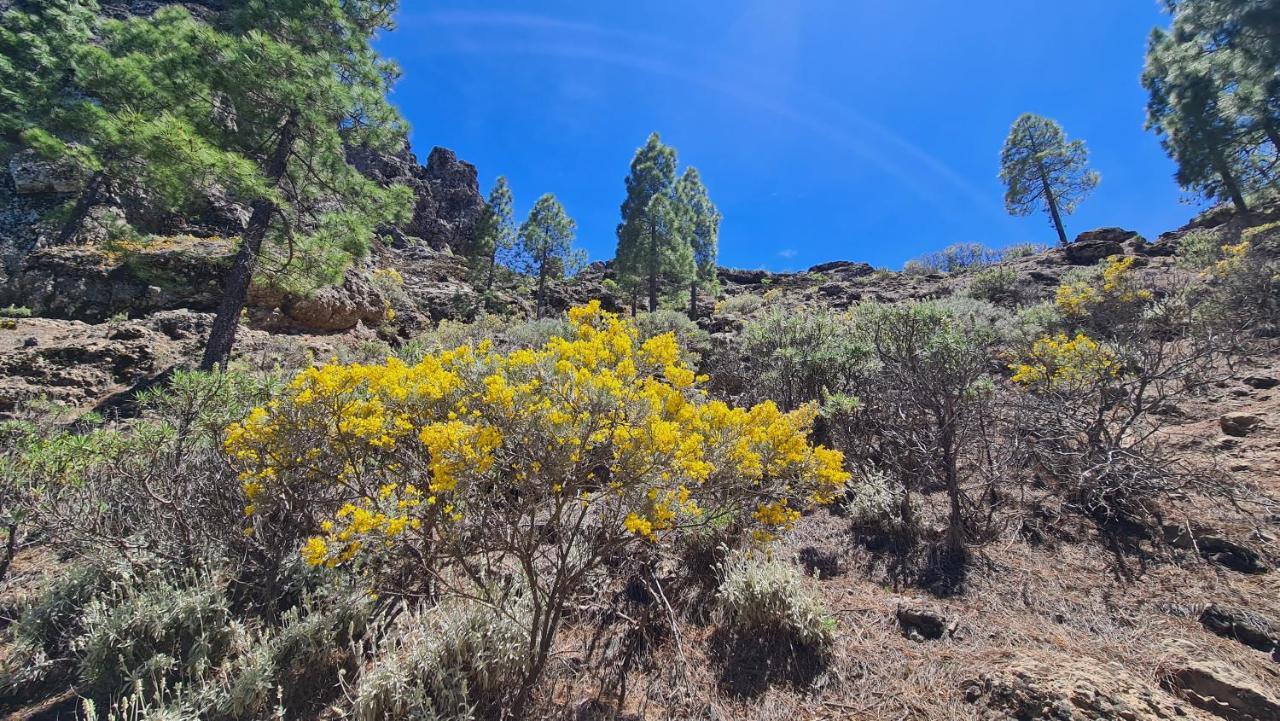Puerto Rico Top Teide And Amadores View Екстер'єр фото